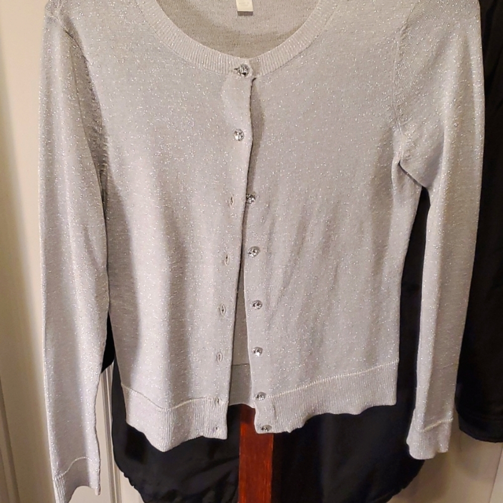 Shimmery Sliver sweater with silver buttons